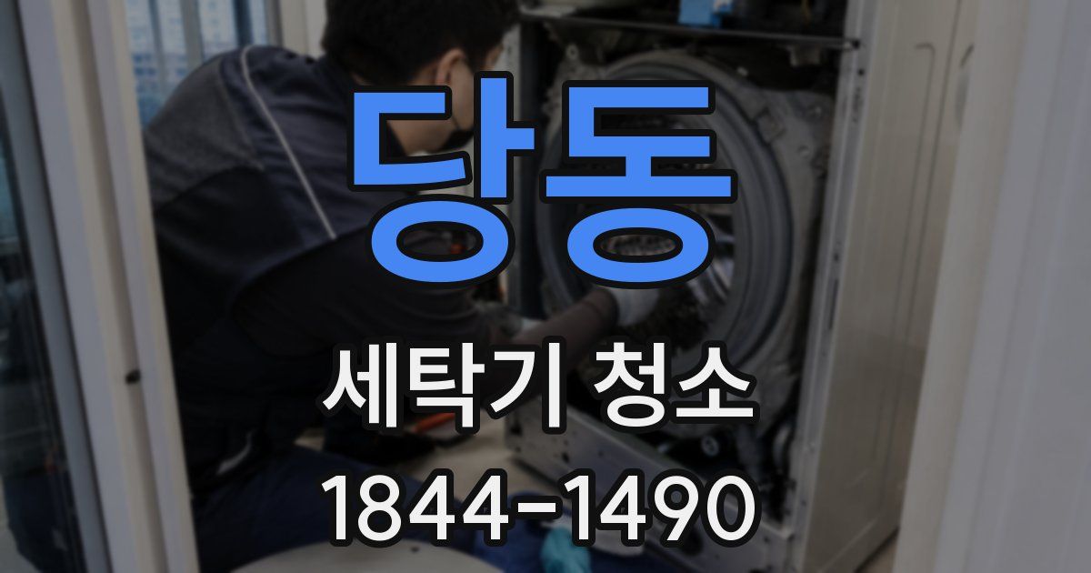 당동 세탁기 청소