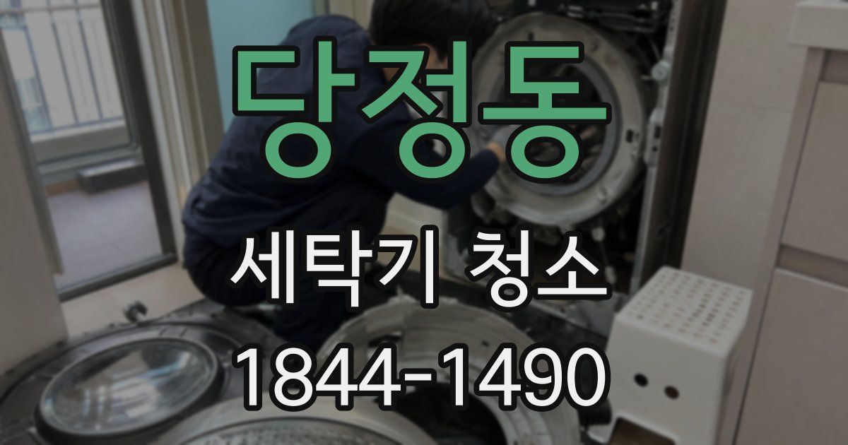 당정동 세탁기 청소