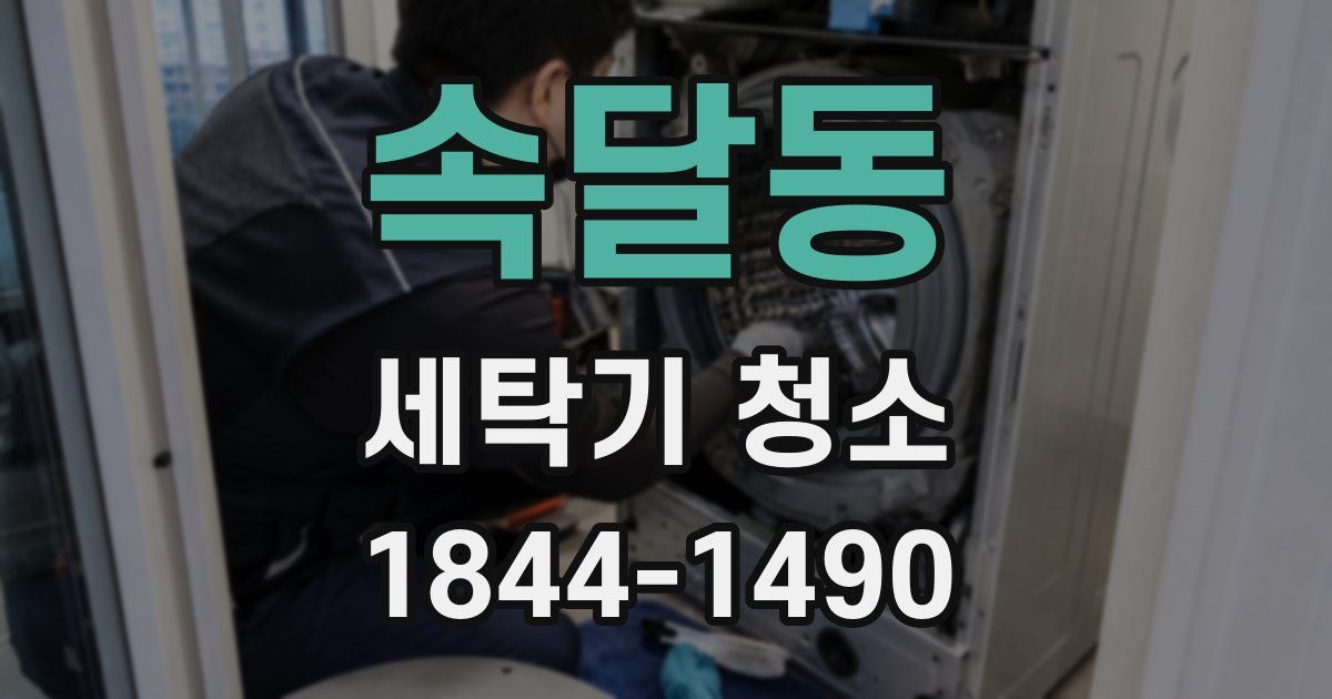 속달동 세탁기 청소
