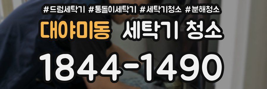 대야미동 세탁기 청소