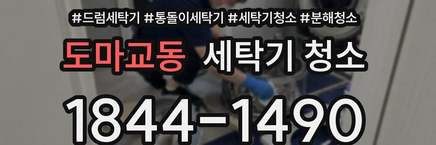 도마교동 세탁기 청소