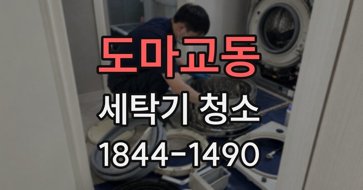도마교동 세탁기 청소