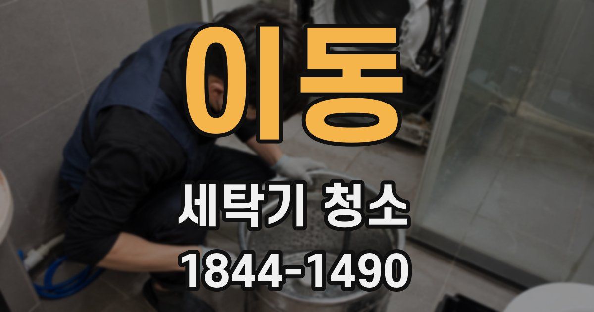 이동 세탁기 청소