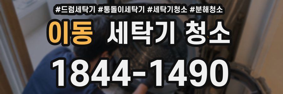 이동 세탁기 청소