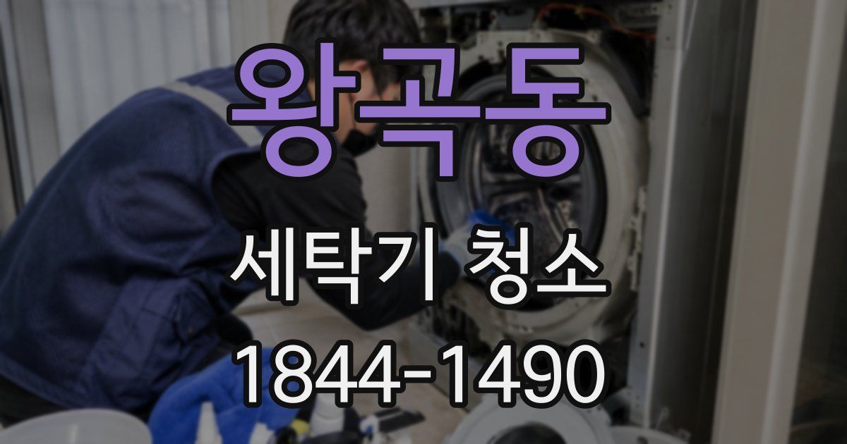 왕곡동 세탁기 청소