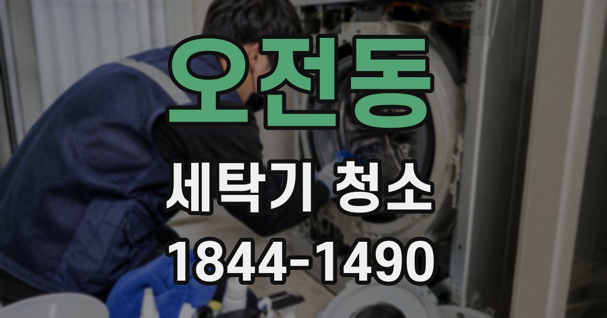 오전동 세탁기 청소