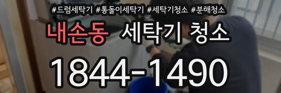 내손동 세탁기 청소