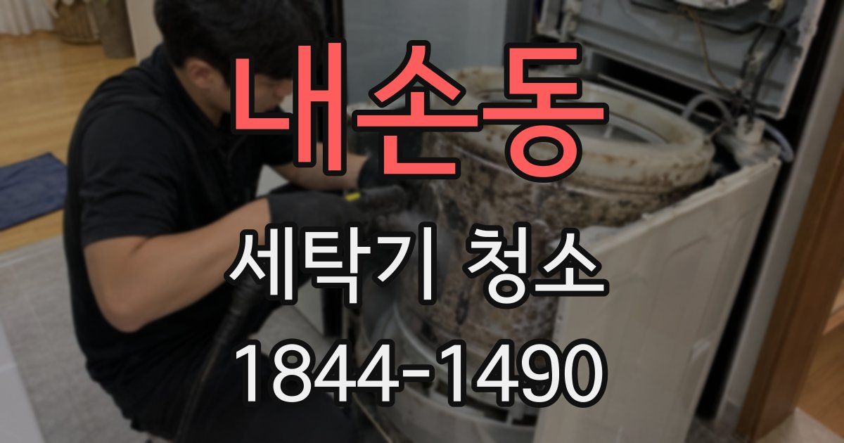 내손동 세탁기 청소