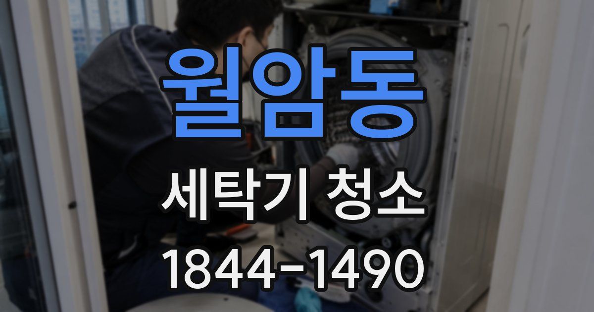 월암동 세탁기 청소