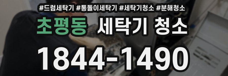 초평동 세탁기 청소
