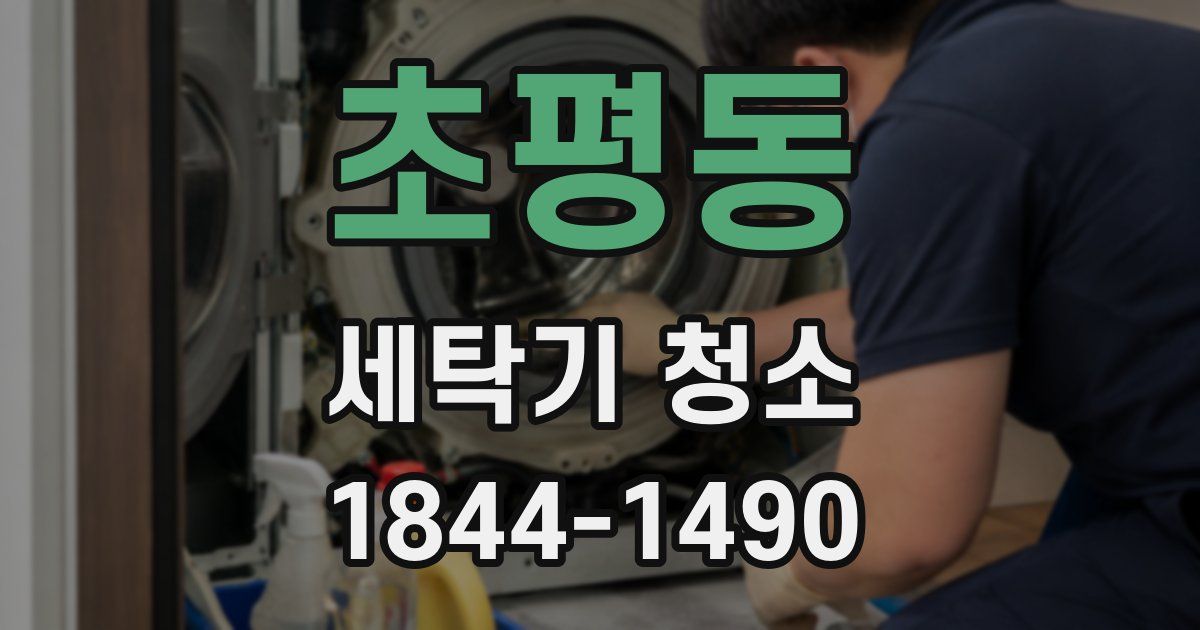 초평동 세탁기 청소