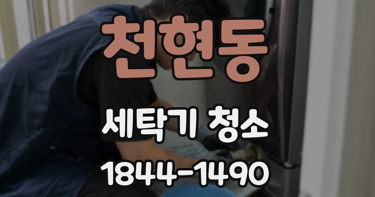 천현동 세탁기 청소