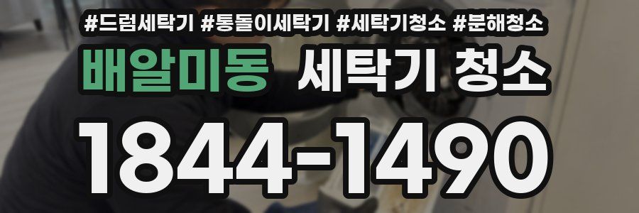 배알미동 세탁기 청소