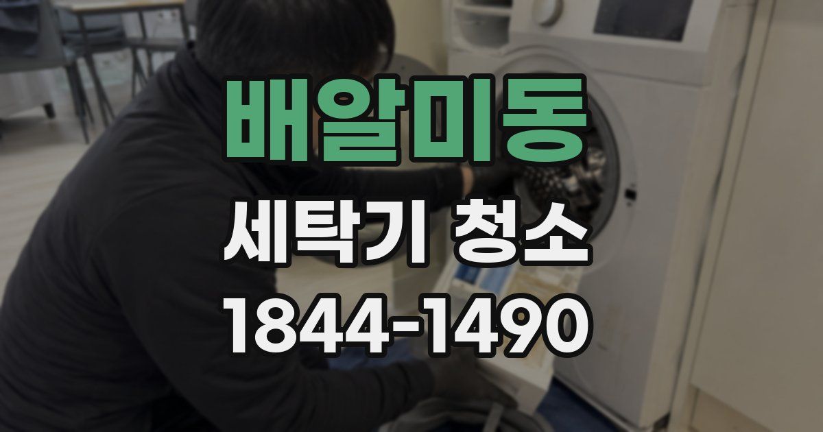 배알미동 세탁기 청소