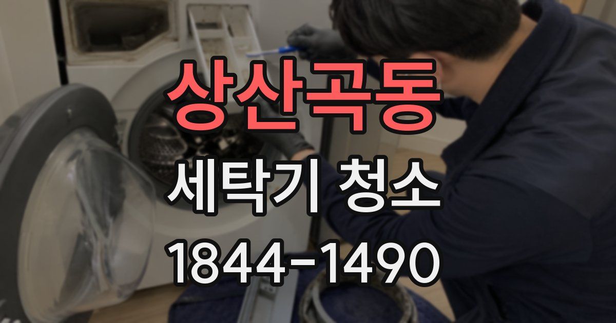 상산곡동 세탁기 청소