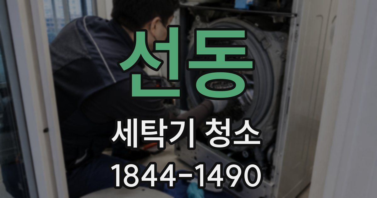 선동 세탁기 청소