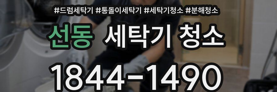 선동 세탁기 청소