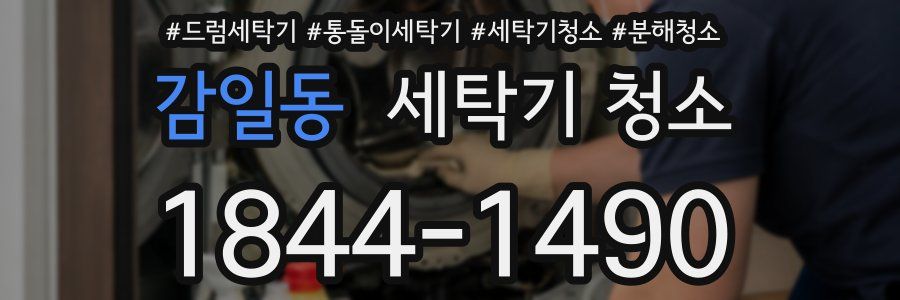 감일동 세탁기 청소
