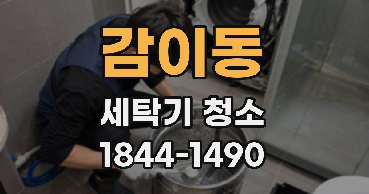 감이동 세탁기 청소