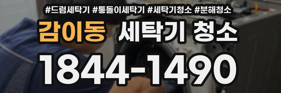 감이동 세탁기 청소