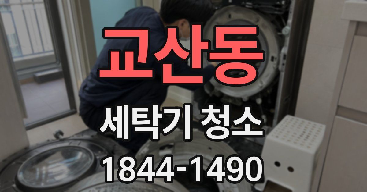 교산동 세탁기 청소