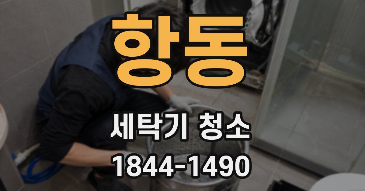 항동 세탁기 청소