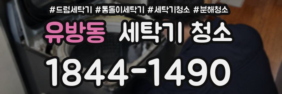 유방동 세탁기 청소