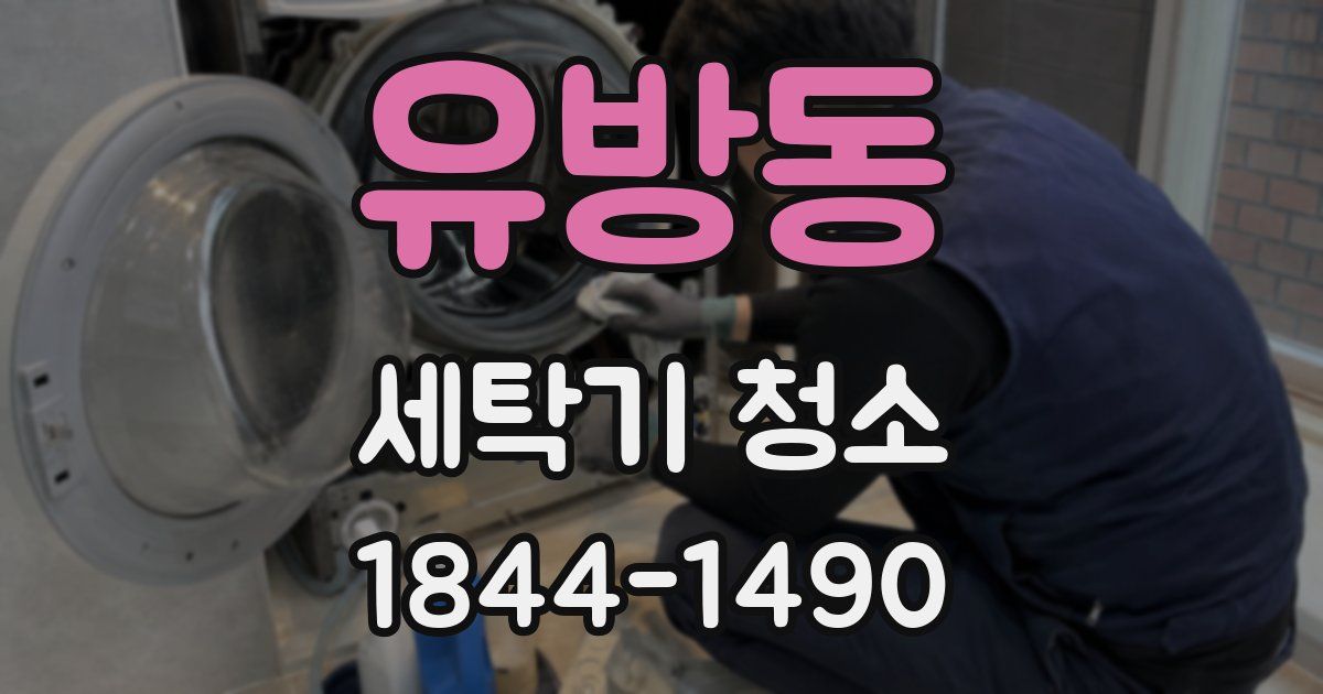 유방동 세탁기 청소