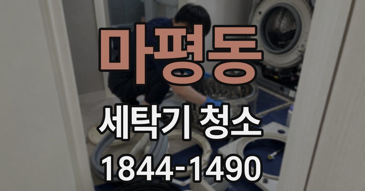 마평동 세탁기 청소