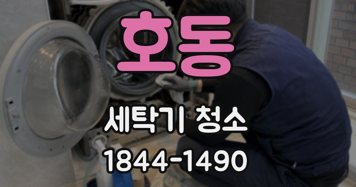 호동 세탁기 청소