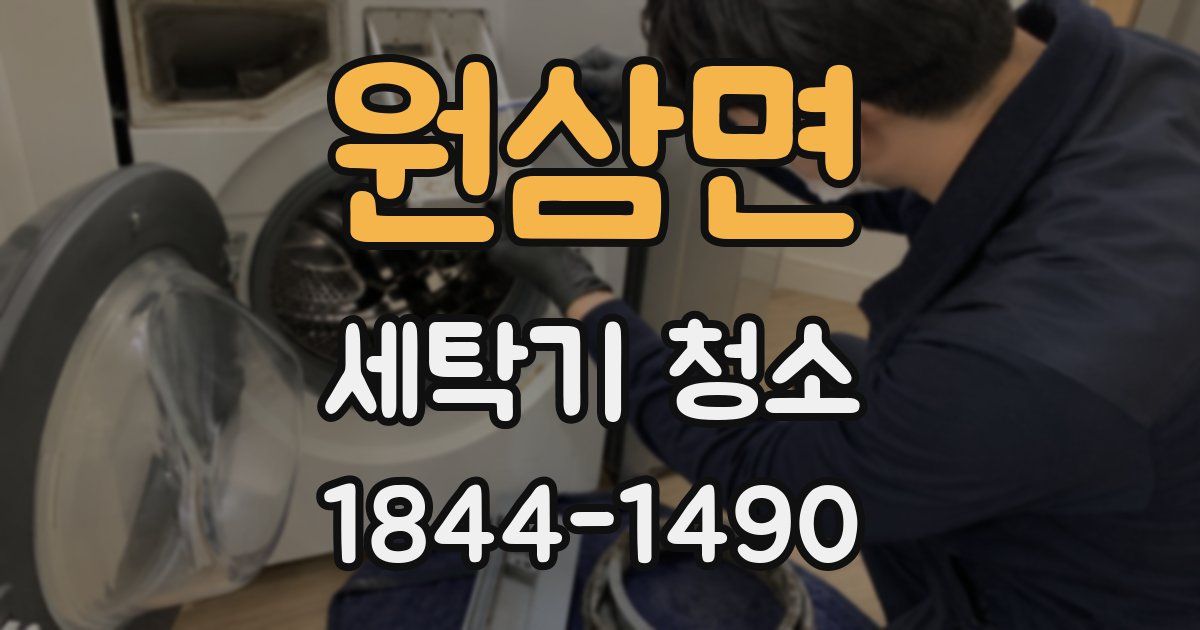 원삼면 세탁기 청소