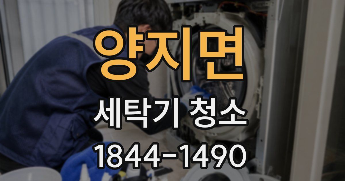 양지면 세탁기 청소