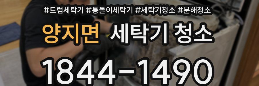 양지면 세탁기 청소
