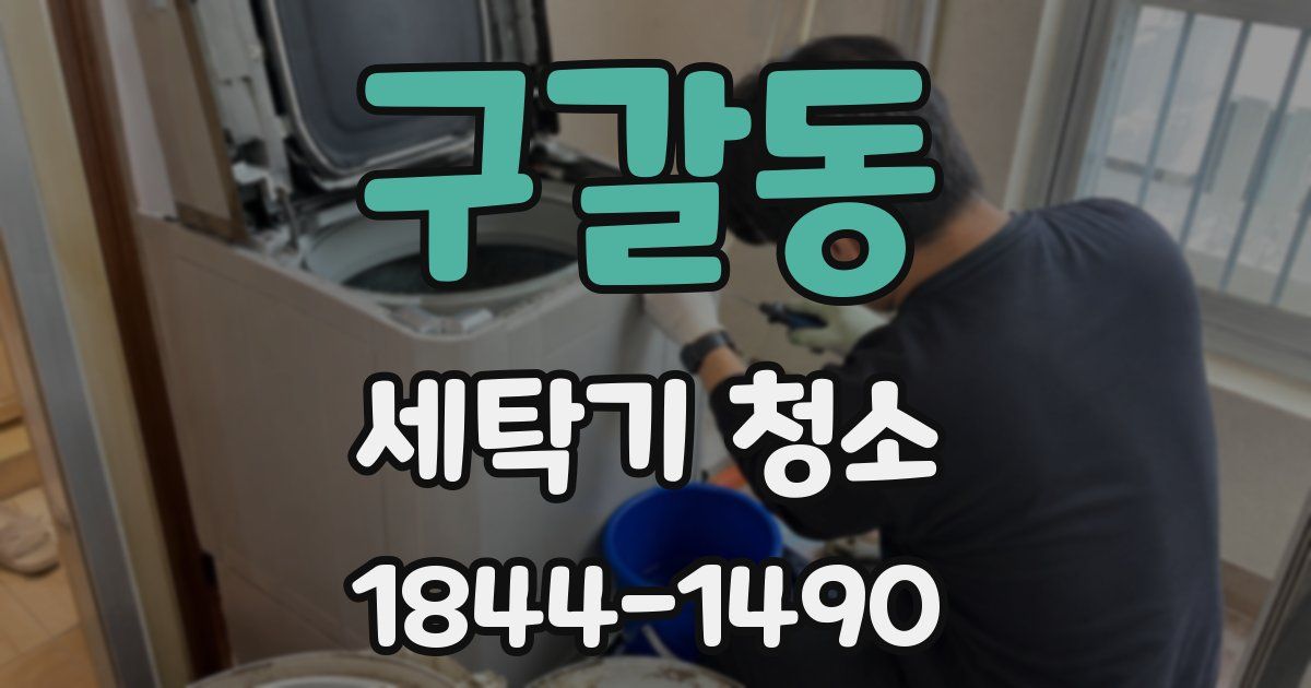 구갈동 세탁기 청소