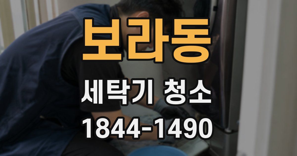보라동 세탁기 청소
