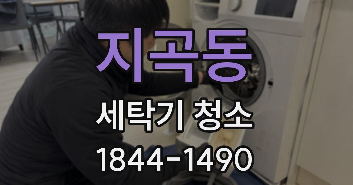 지곡동 세탁기 청소