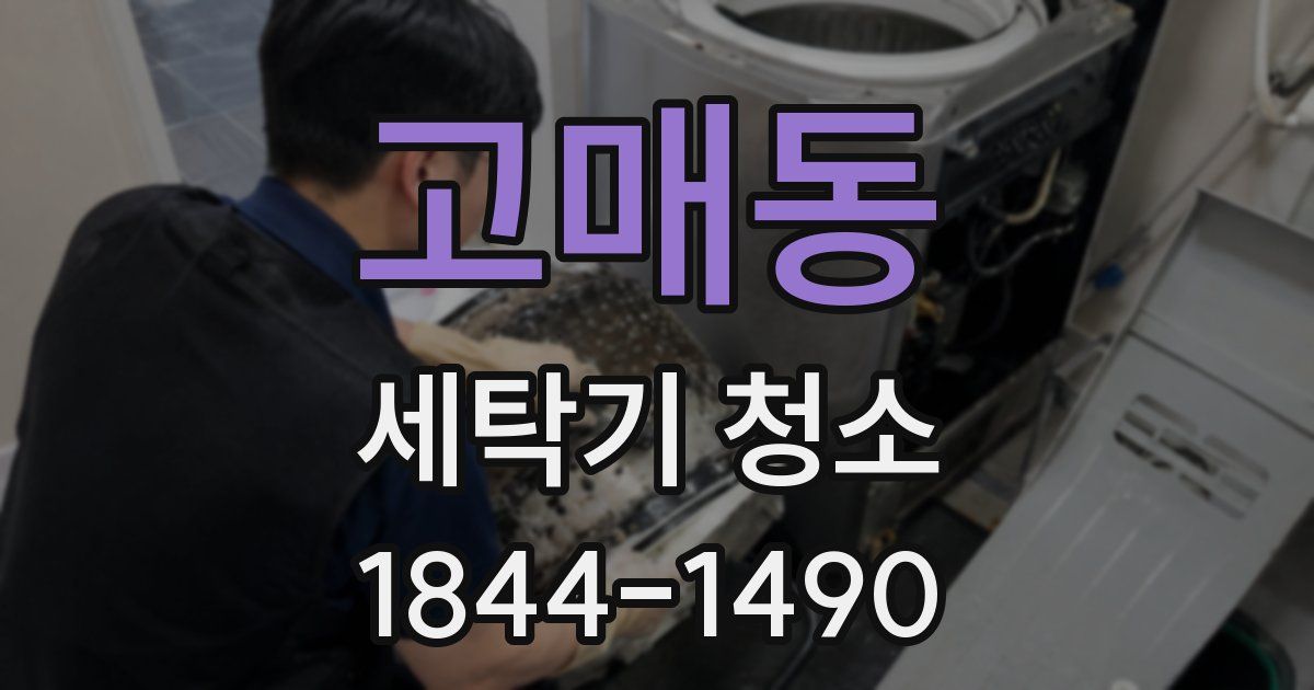 고매동 세탁기 청소