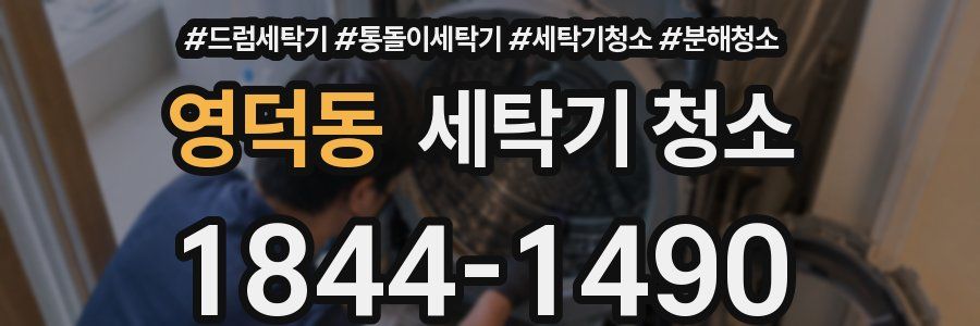 영덕동 세탁기 청소
