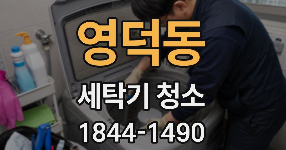 영덕동 세탁기 청소