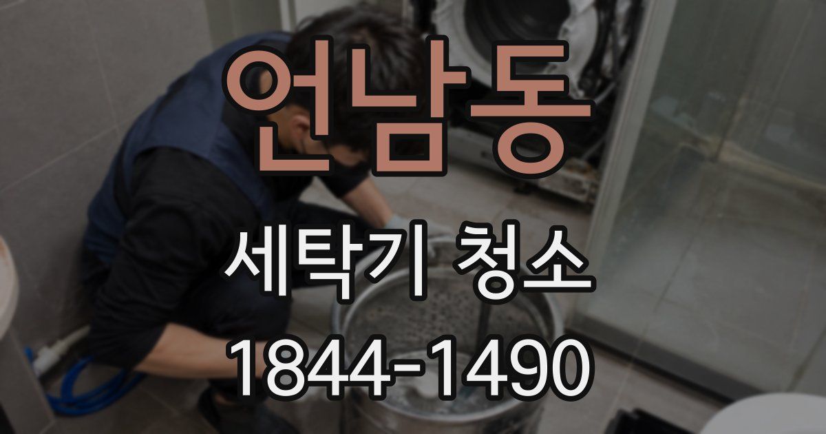 언남동 세탁기 청소