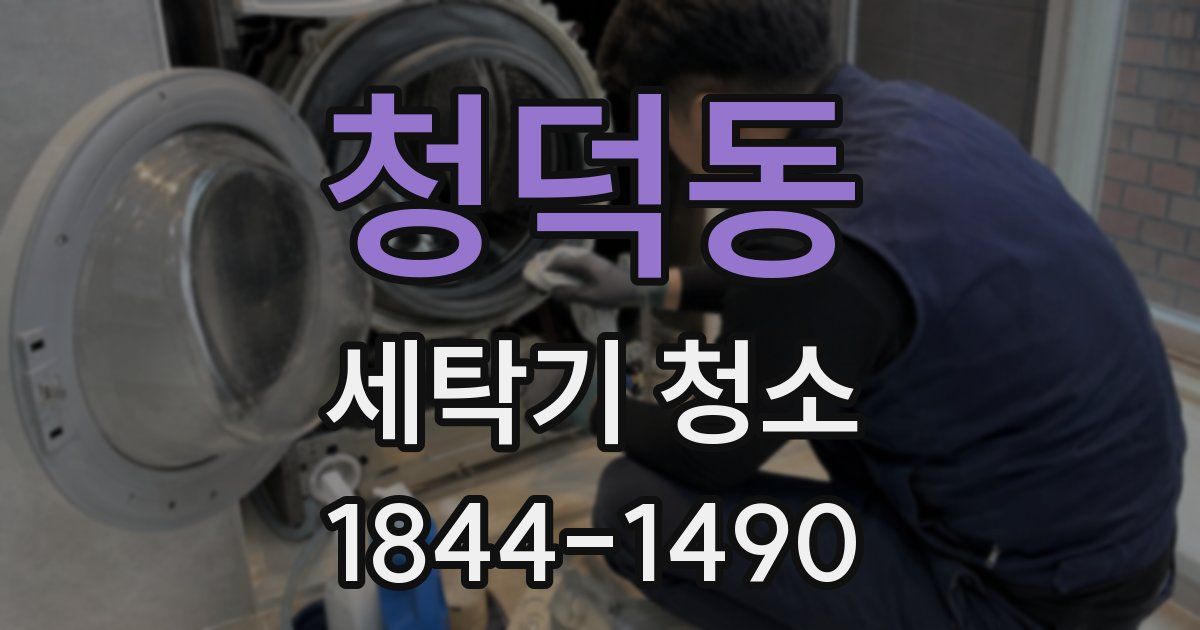 청덕동 세탁기 청소