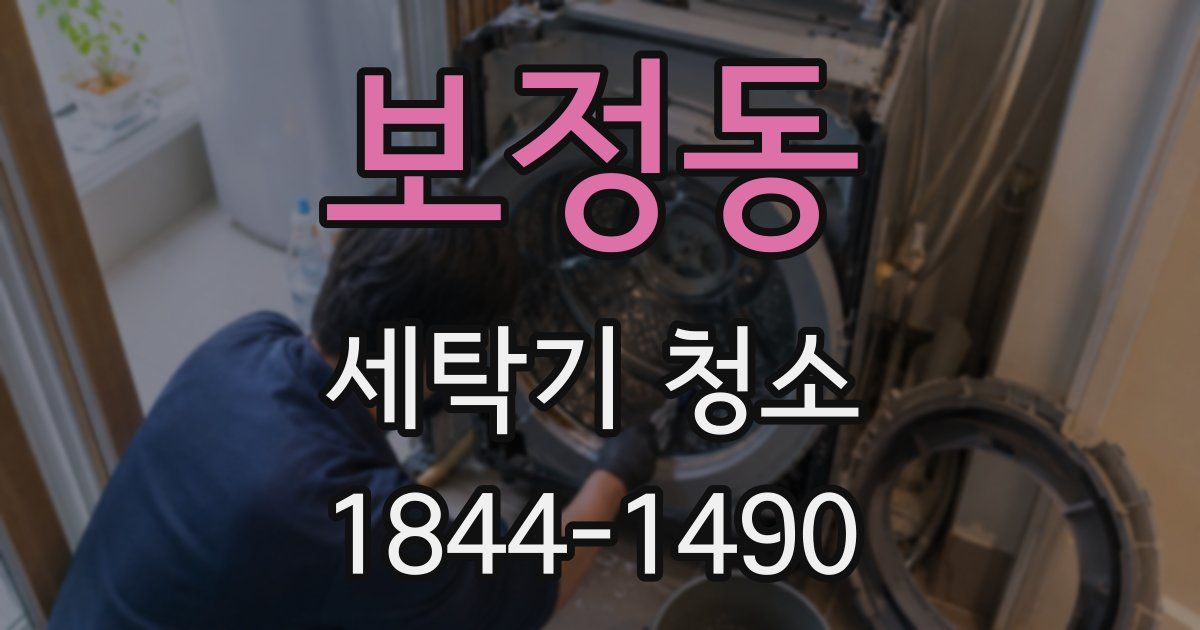 보정동 세탁기 청소