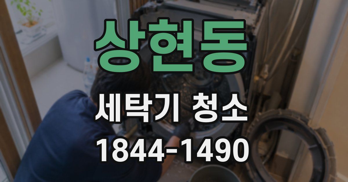 상현동 세탁기 청소