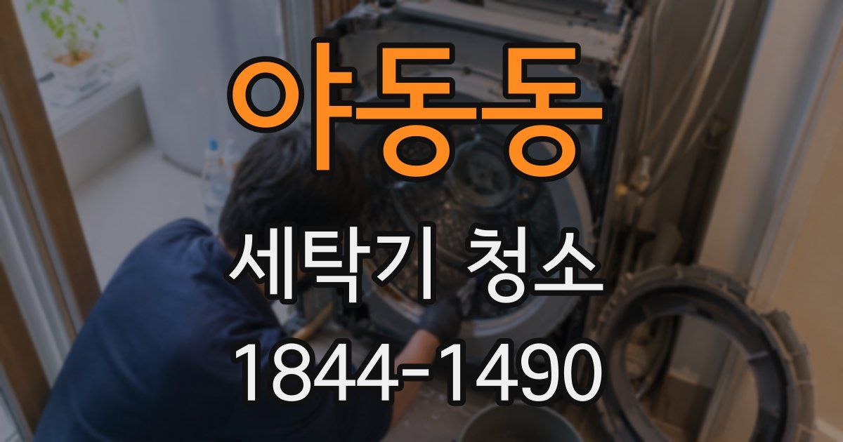 야동동 세탁기 청소