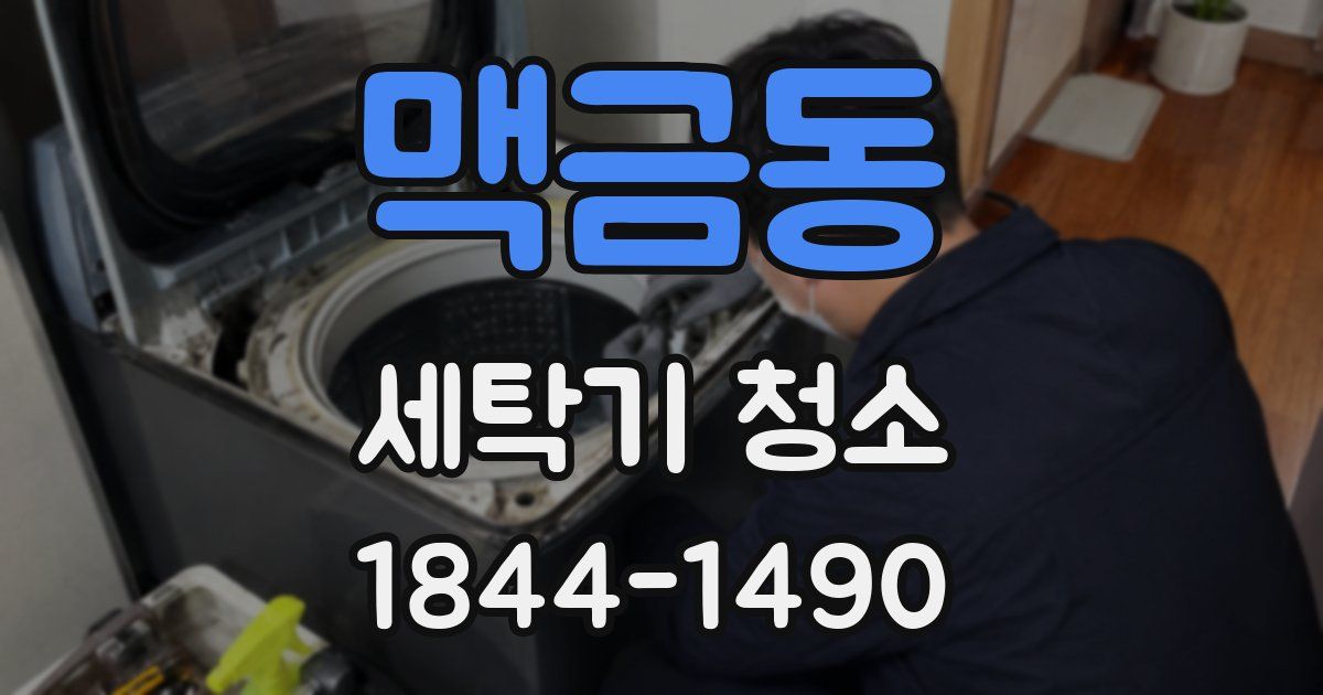 맥금동 세탁기 청소