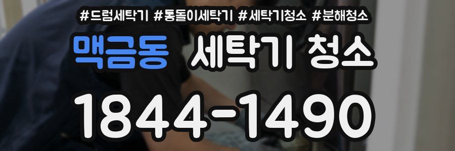 맥금동 세탁기 청소