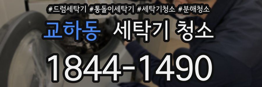 교하동 세탁기 청소