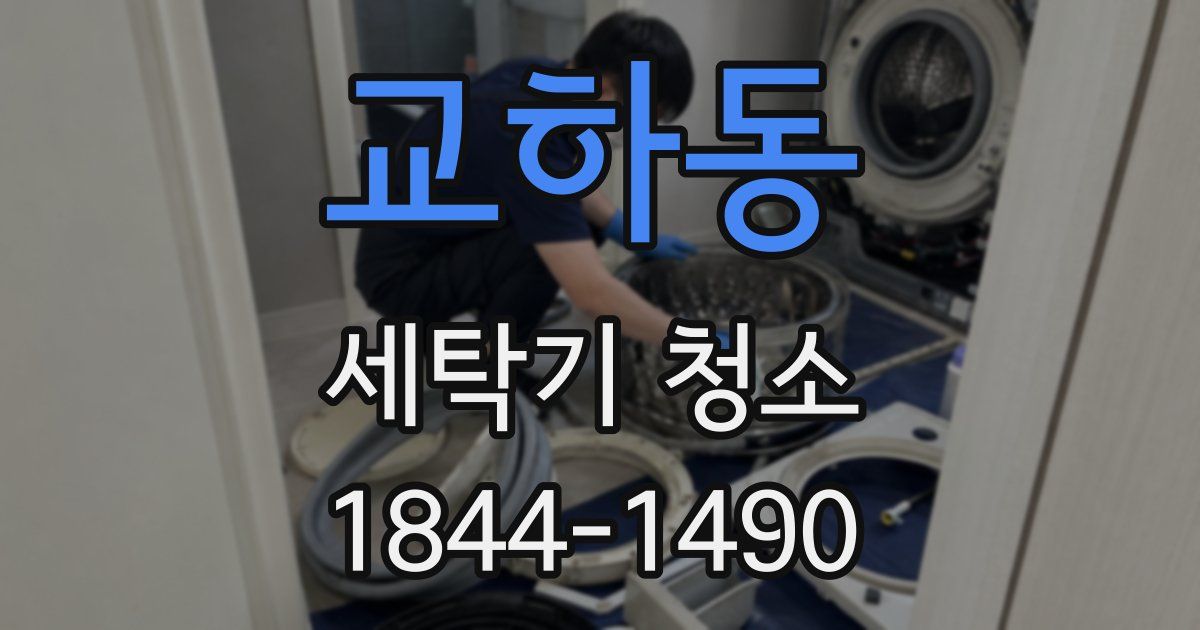 교하동 세탁기 청소