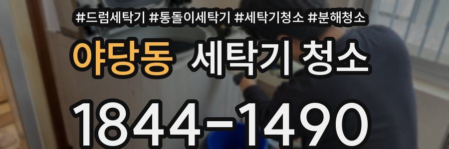 야당동 세탁기 청소