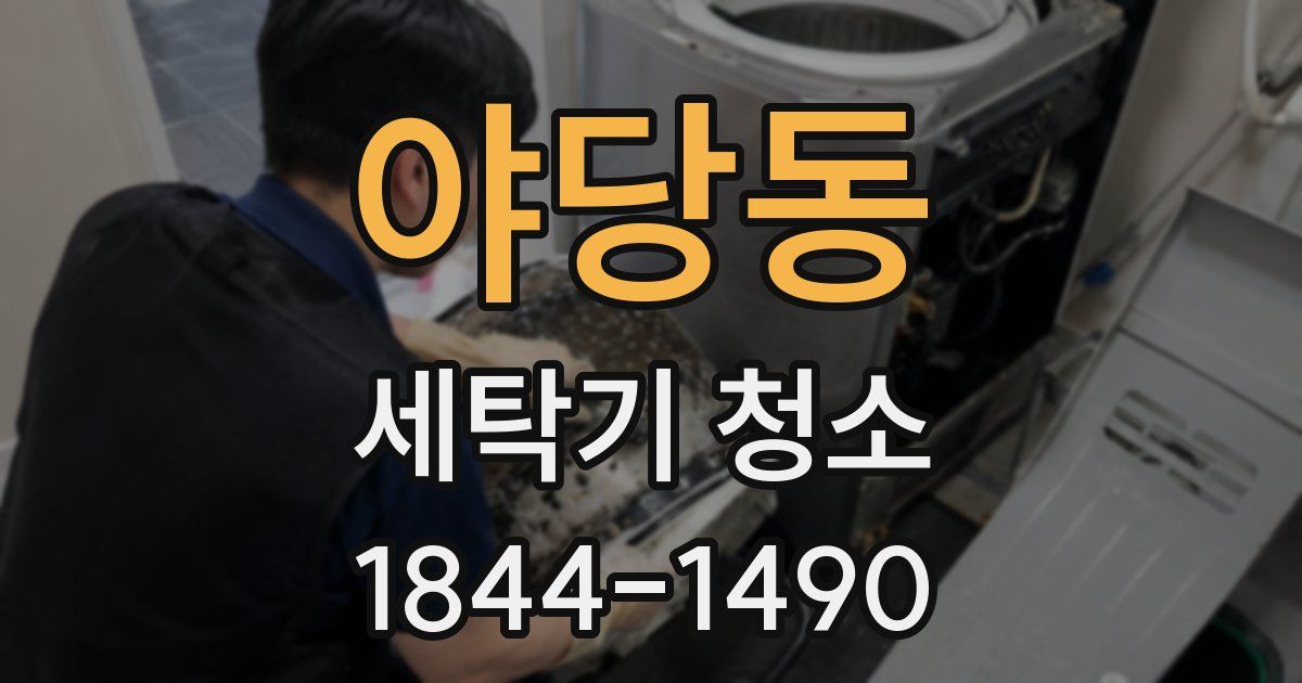야당동 세탁기 청소